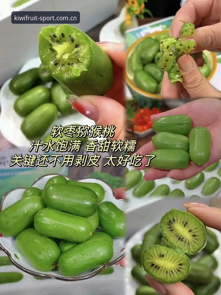 奇异果体育靠谱吗对比 揭秘奇异果体育靠谱吗对比:资深玩家赵强的真实评测与深度体验报告